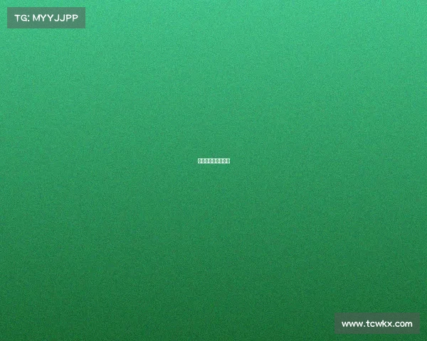 辽宁今天比赛赢了吗